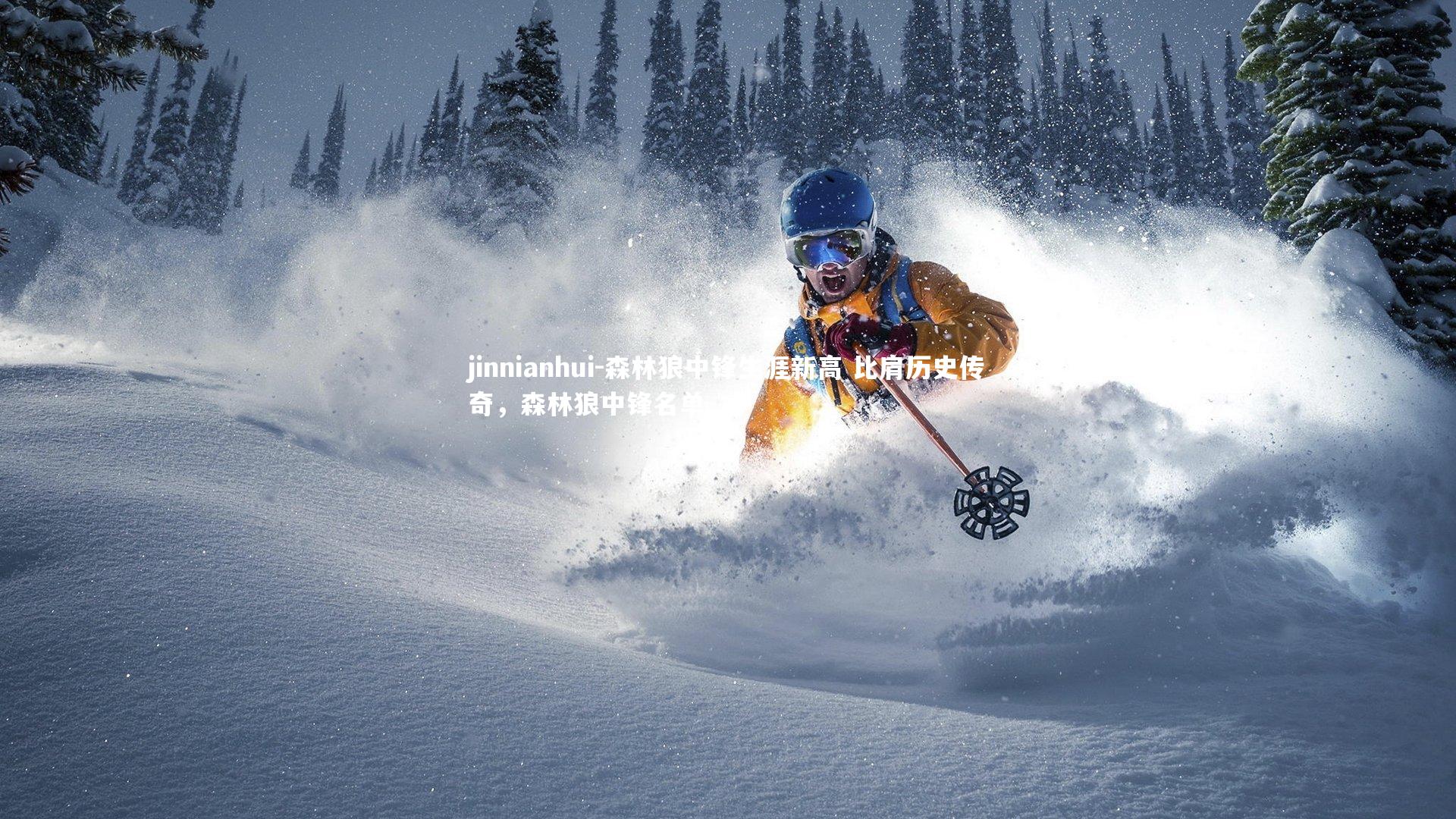 森林狼中锋生涯新高 比肩历史传奇，森林狼中锋名单