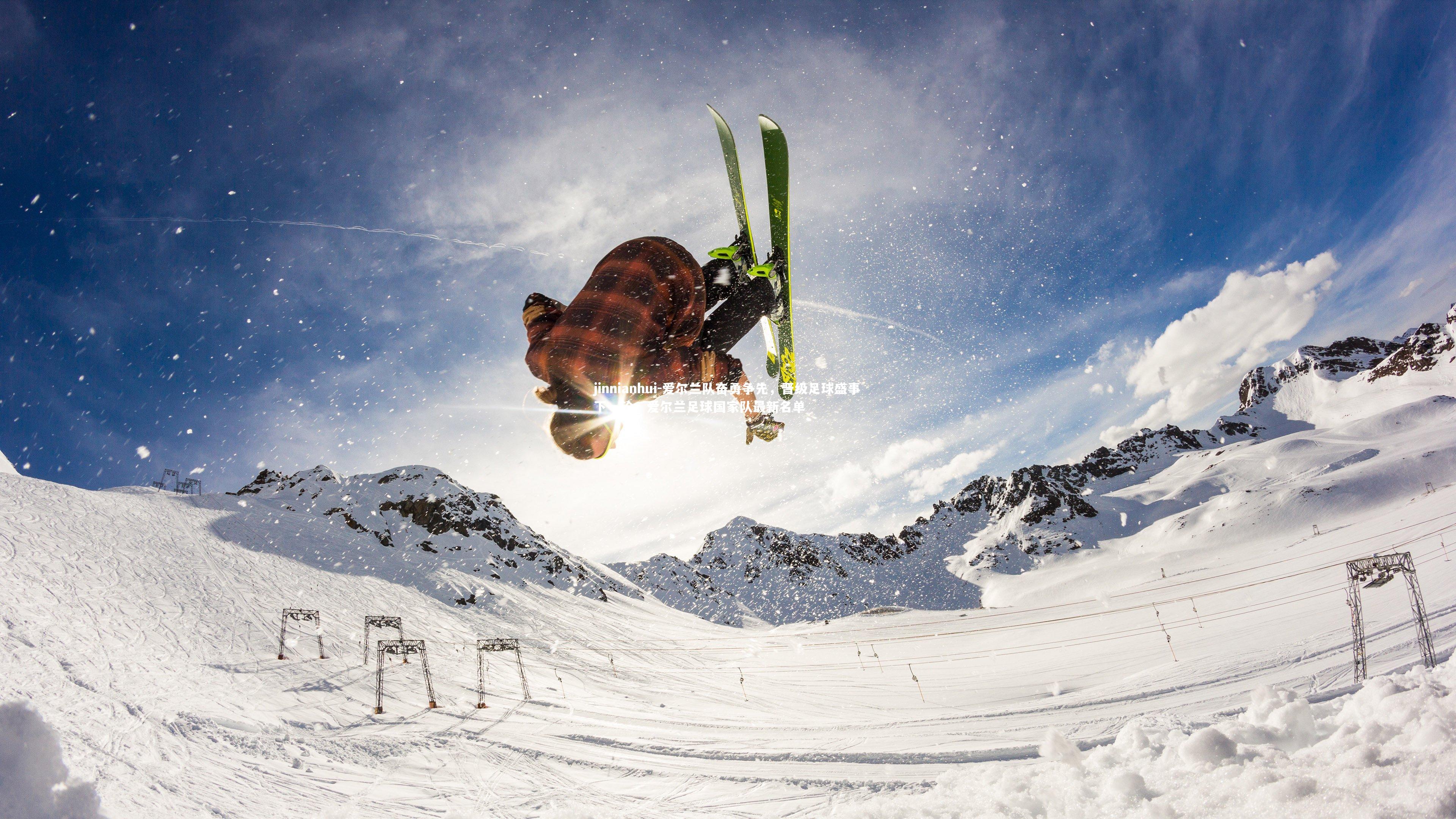 爱尔兰队奋勇争先，晋级足球盛事下一轮，爱尔兰足球国家队最新名单